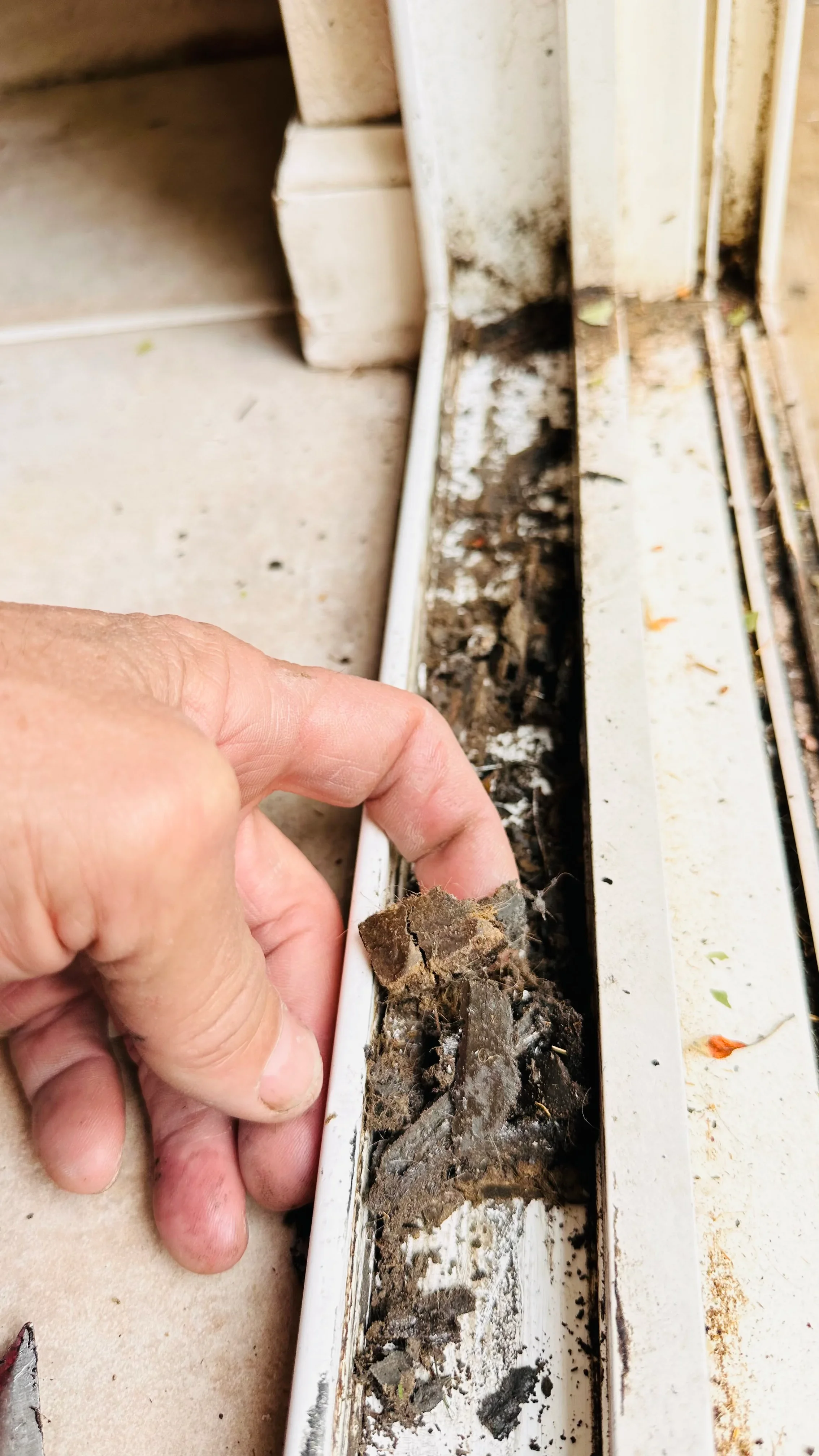 Hand holding debris from clogged gutter with white aluminum gutter visible